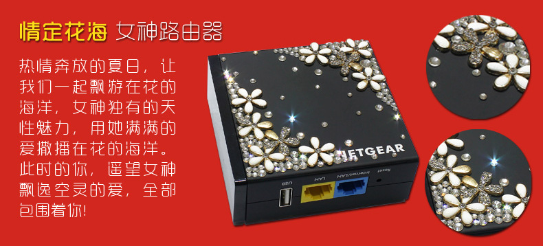 Netgear 美国网件 PR2000  300M 路由器