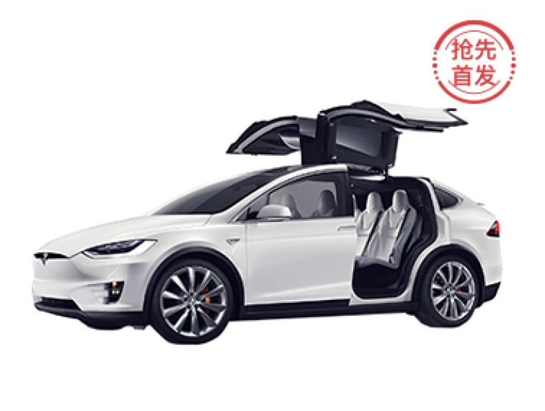 【抢先首发】特斯拉 Model X 90D 五天使用权（限地区）