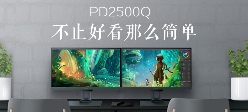 明基 PD2500Q 专业显示器