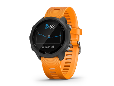 garmin佳明 forerunner245 手表